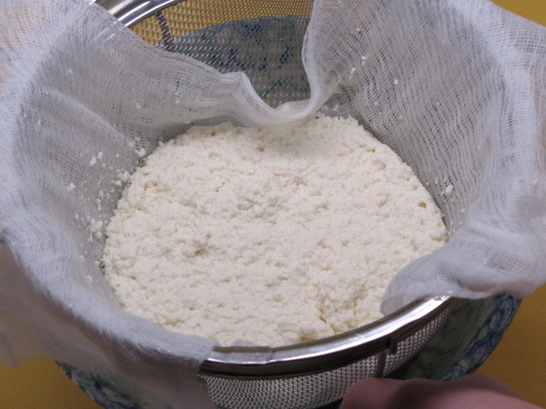 Curds and Whey separating